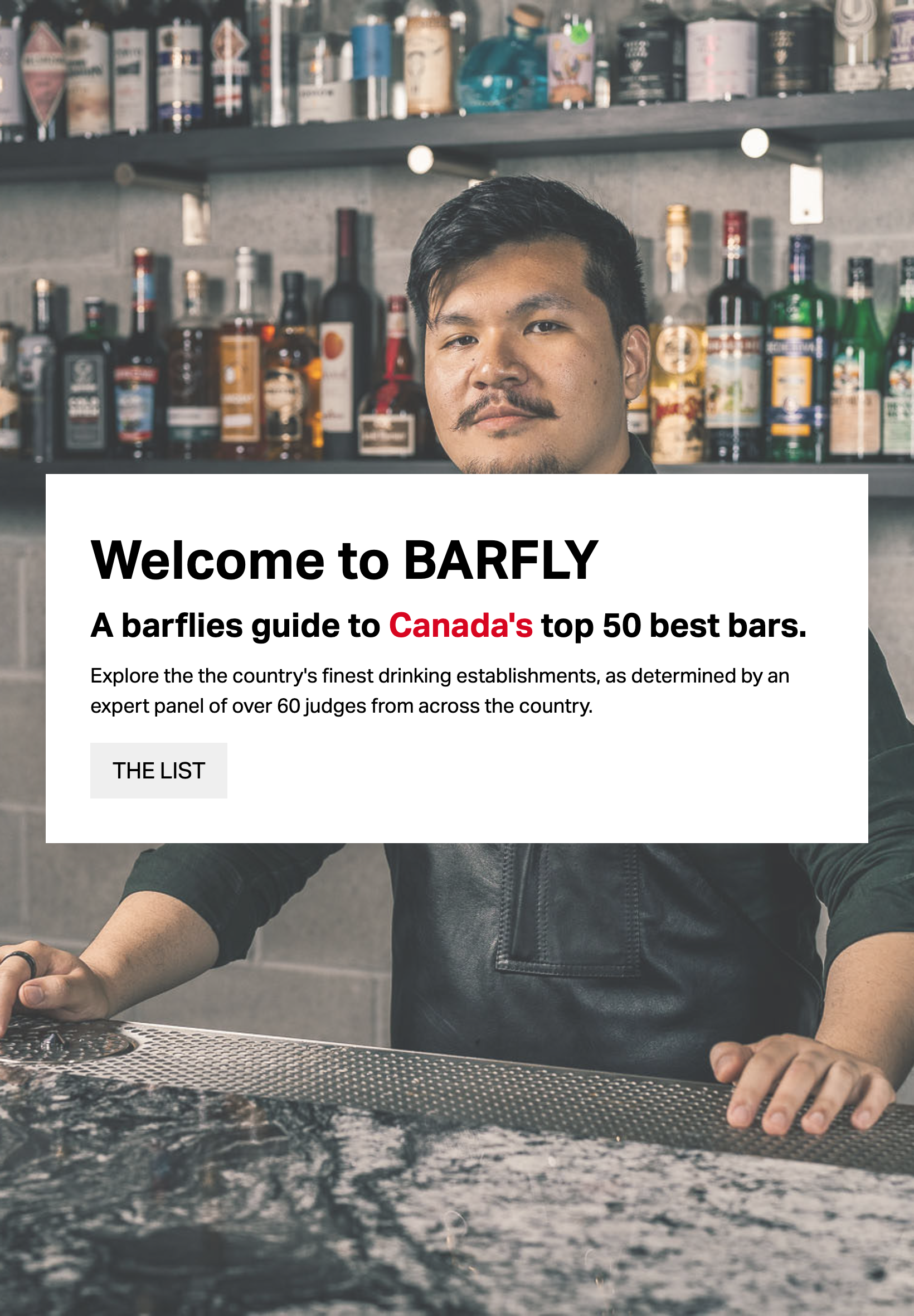 BarFly_Preview